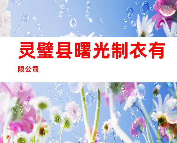 灵璧县曙光制衣有限公司